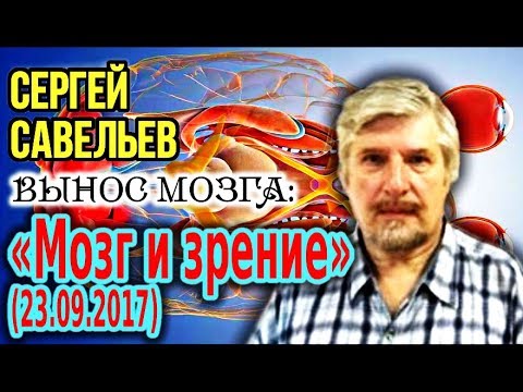 «ВЫНОС МОЗГА #11»: «Мозг и зрение». 23.09.2017. Савельев С.В.