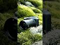 アイスランドの苔と岩肌を、1億画素で写し留める|Hasselblad X2D II 100C