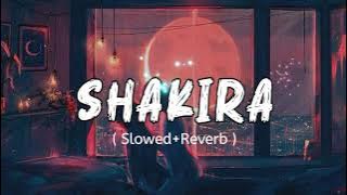 Shakira Song (Slowed Reverb)