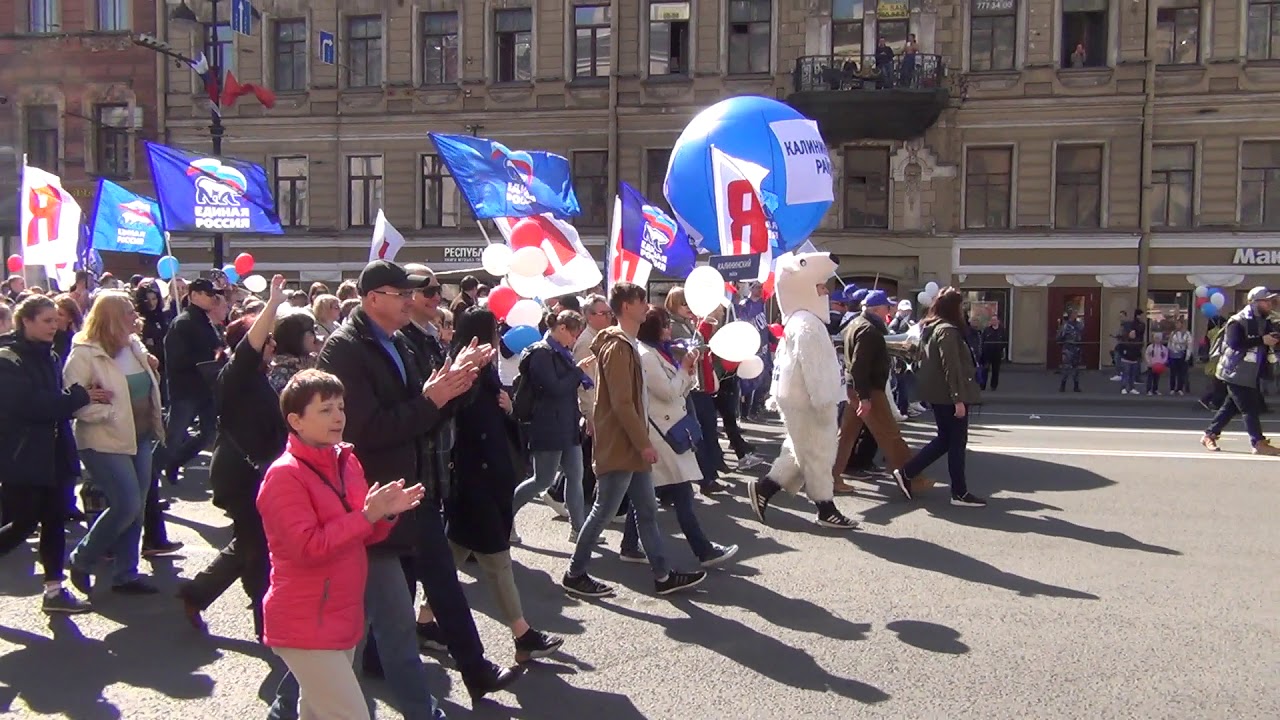 Организация пикетирование и митинг