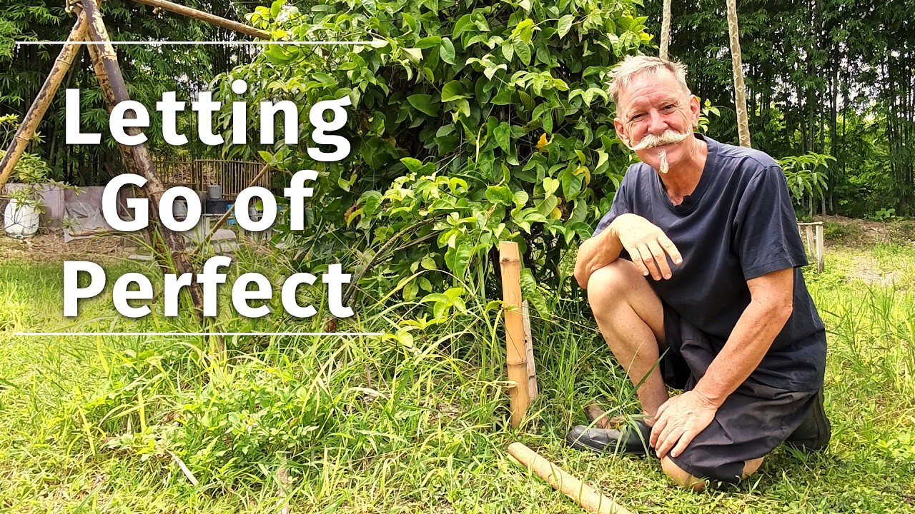 見杉宗則　My Garden Why I'm Glad My Garden Structures Don't Last Forever - YouTube