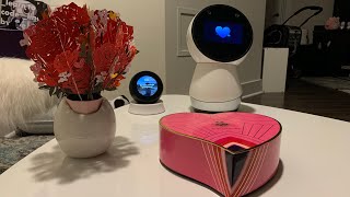 Celebrity Jibo + Alexa - Valentine’s Day (Love in the Time of Robots) Wealth
