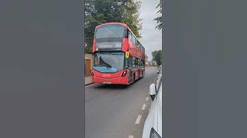 Route 243 at Manse Road|LK17 AFV-HV279|#fortheloveofbuses #londonproplayer2