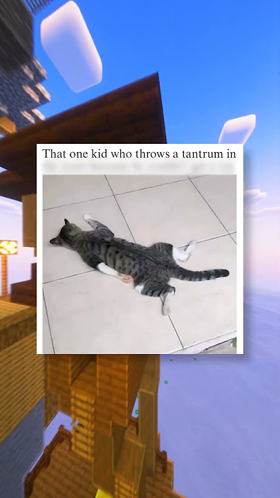 Wholesome Memes