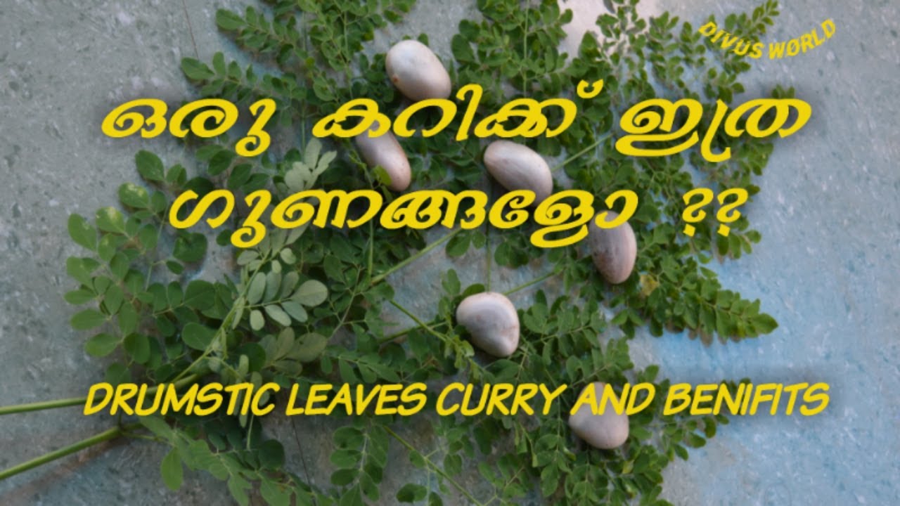 Drumstick leaves uses and making curry//എങ്ങനെ മുരിങ്ങ കറി ഉണ്ടാകാം