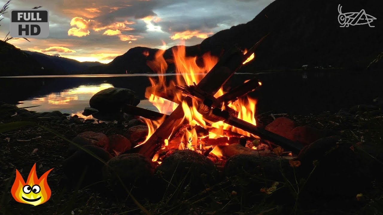 Lakeside Campfire with Relaxing Nature Night Sounds HD