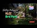 Traveling Malaysia With Toddlers 👶❤️ | KL Bird Park Adventure &amp; Stunning Airbnb