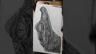 hyper realistic crocodile drawing 😀 #crocodiledrawing #crocodile#shortsfeed