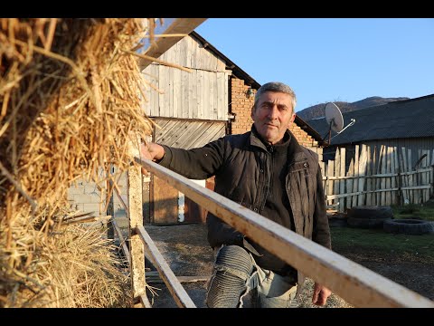 ისტორიები სოფელ ხოვლედან. JAMnews ქართულად