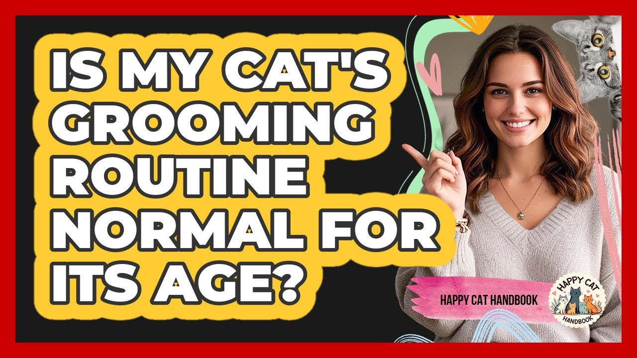 Is My Cat's Grooming Routine Normal For Its Age?