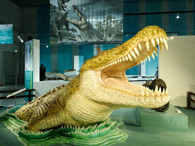 白亜紀の巨大ワニ「デイノスクス」（大地のハンター展・国立科学
