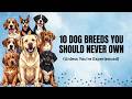 10 Dog Breeds You Should Never Own (Unless You’re Experienced)