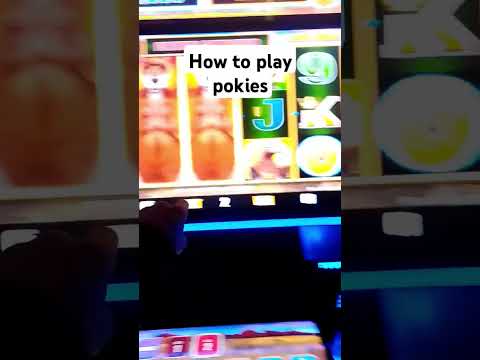 Experience the Thrill of Casino Games in English: Play Pokies Online in Australia at ThePokiesNet111
