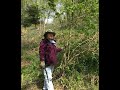The medicinal forest garden- with Anne Stobart