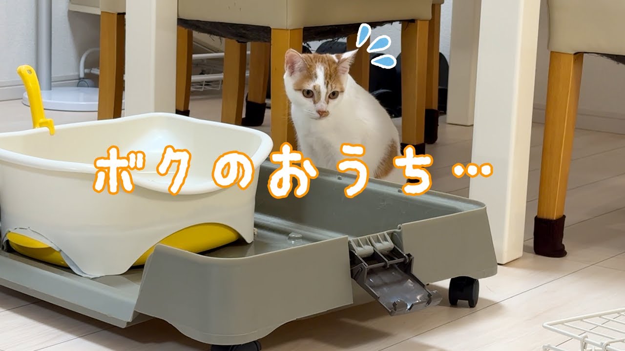 猫ちゃんのケージ　取りに来て頂ける方にお渡しします。 爪とぎ ケージ取り付け 猫 麻縄巻き ケージ用 省スペース コンパクト