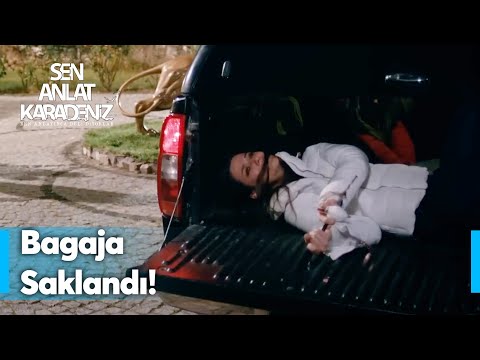 Nefes, Vedat'tan kaçıyor! | Sen Anlat Karadeniz 1. Bölüm