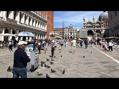         Venice’s San Marco Through the Eyes of the Chida