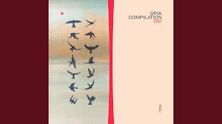 Morning Light (2024 OPIA Remastered Version)
