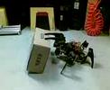 Hexapod Phoenix and the Box part II
