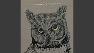 Video thumbnail of "NEEDTOBREATHE - Wanted Man (Live From the Woods)"