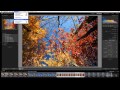 Working with DNG Camera Profiles | Adobe Lightroom