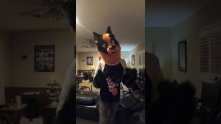 Five Stages of Preparing for a Furry Con