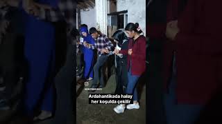 Ardahan'da standart bir gün #travel #ardahan #keşfet #haber #animals #horse