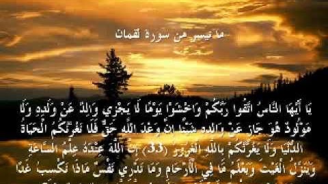 33-34 - تلاوة رائعة - خالد غريب الصعيدي - لقمان