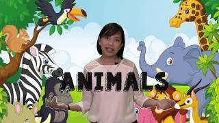 Land Water Air Animals | Preschool Lessons with Free Worksheet