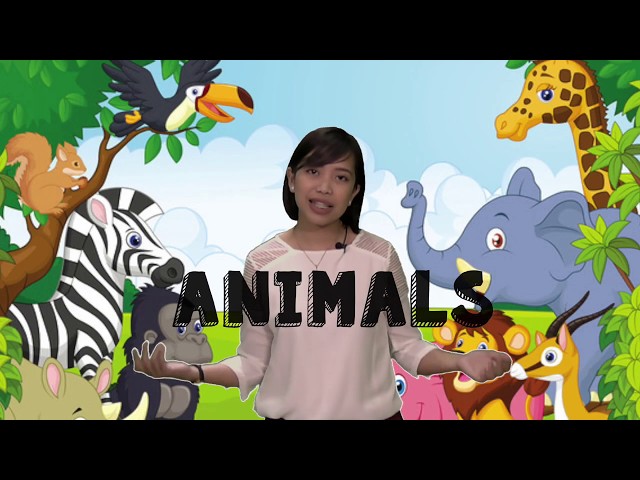 Land Water Air Animals | Preschool Lessons with Free Worksheet class=