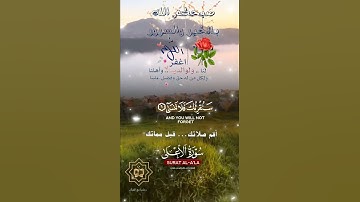 تلاوة خاشعة عطرة مباركة جميلة عذبة للشيخ ماهر المعيقلي ماتيسر من سورة الأعلى