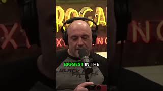 Celebrity Joe Rogan World's Heaviest Snake Reticulated Python vs Anaconda Net Worth