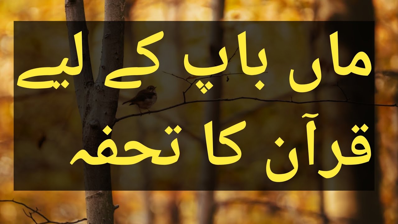 Must Listen Maa Baap Ki Tarbiyat Or Quraan Ki Rehnumai Al Alaq