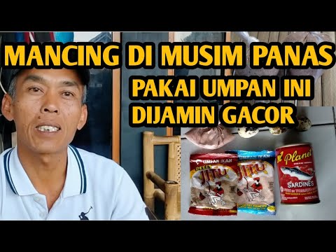 Video: 5 Resep Umpan Memancing Musim Panas