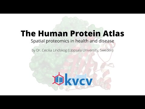 Video: Alat Untuk Memfasilitasi Studi Biomarker Klinis - Kamus Jaringan Berdasarkan Human Protein Atlas