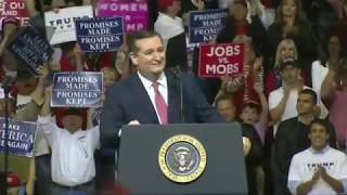 Ted Cruz: 'Do We Embrace Jobs -- Or Do We Give in to Mobs?!'