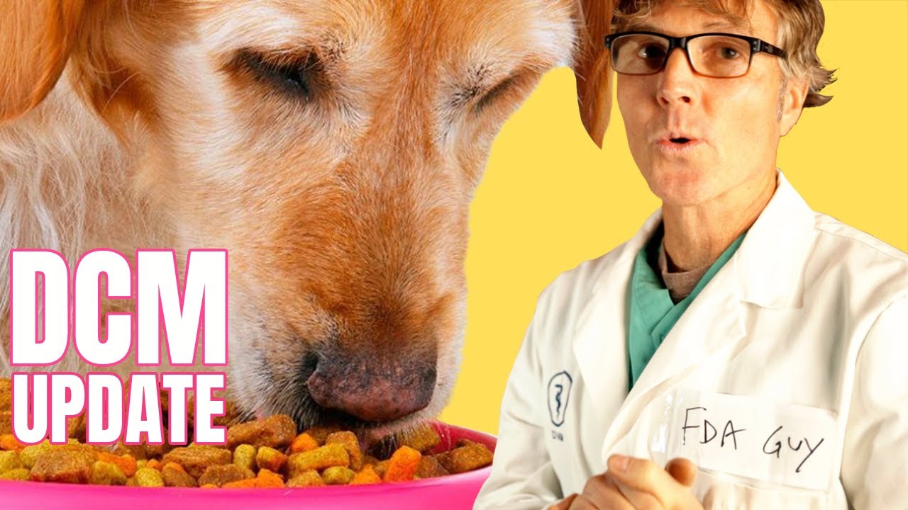 Dog Food and Heart Disease: DCM Update - YouTube