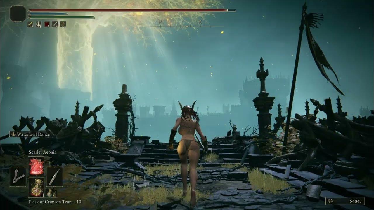 Elden Ring Underwear for EBB & Animation Waterfowl Dance Mod YouTube