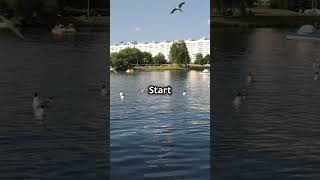 Why Simplicity is Power: The Unmatched Benefits of Being Simple #simple