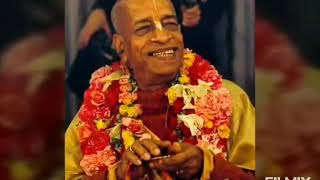 Srila Prabhupada Kirtan | Slow screenshot 4