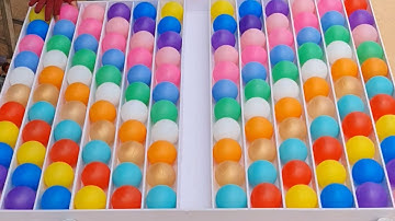 Local Legends Challenge: AI vs. Human in Ultimate Sorting Battle color sort ball training brain IQ