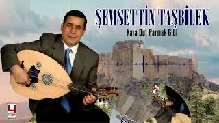 Şemsettin Taşbilek -Kara Dut Parmak Gibi