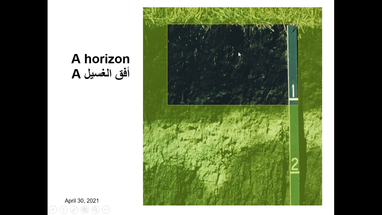 05_Soil Profile القطاع الأرضى