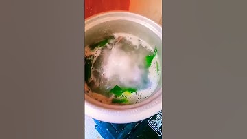 FISH SOUP RECIPES