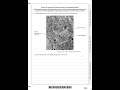 Pearson Edexcel A Level Biology B Paper 2 2025 Qp