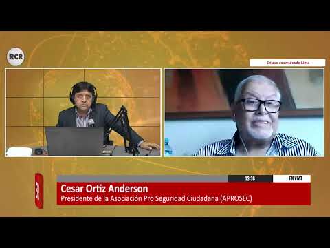 CRISIS DE INSEGURIDAD CIUDADANA EN EL PAIS