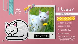 Sudocats (9x9) {Thomas} screenshot 1