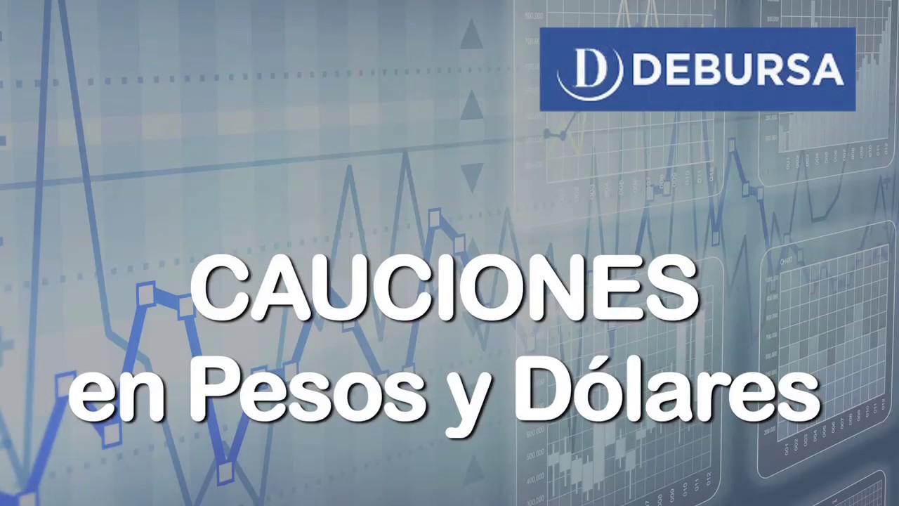 DEBURSA ALyC S.A. Cauciones en Pesos y Dólares al 8 de marzo 2019