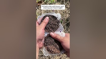 Air Layering Made Simple: Grow Your Own Trees Faster with These Root Box | Link in Bio