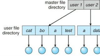 Celebrity Types of Directory Structure part 1 Profile
